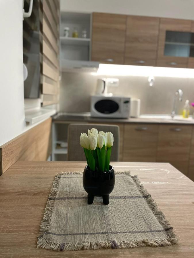 Apartman Mik Нови-Сад Экстерьер фото